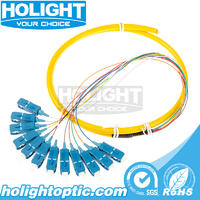 12 Core SC Single Mode Bundle Fiber Optic Pigtail